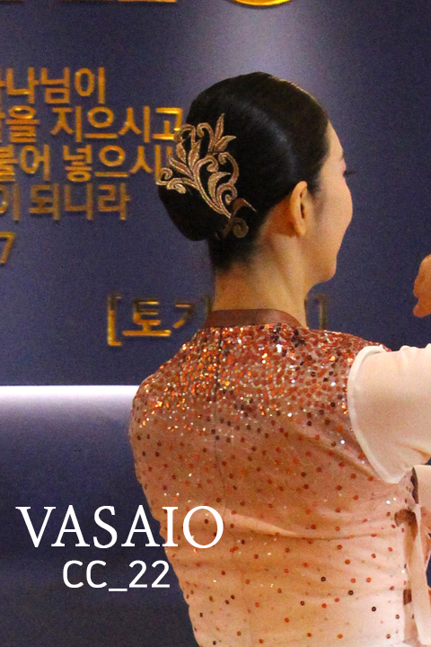 CC22_¼¼·Î º¹»ç_01.jpg